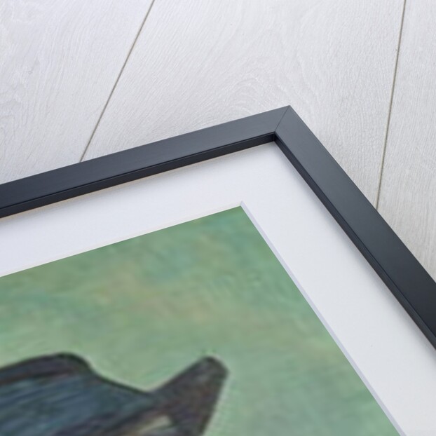 Portrait of Armand Roulin, 1888 by Vincent van Gogh