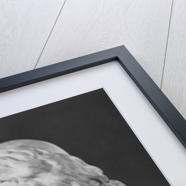 Bust of Jean-Baptiste Poquelin, known as Moliere, 1781 by Jean-Antoine Houdon