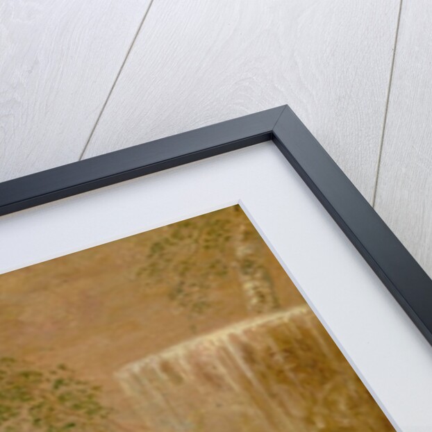 The Shy Lover, 1718 by Jean Antoine Watteau