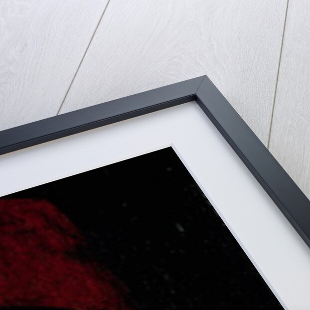 Portrait of Antoine bastard of Burgundy, Knight of the Order of the Golden Fleece, c.1456 by Rogier van der Weyden