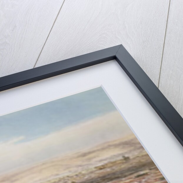 Aerial View of Madrid from the Plaza de Toros, 1854 by Alfred Guesdon