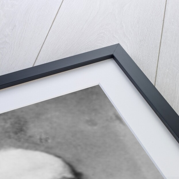 Portrait of Pierre Edmond Teisserenc de Bort, French politician, end of 19th century by Pierre Petit