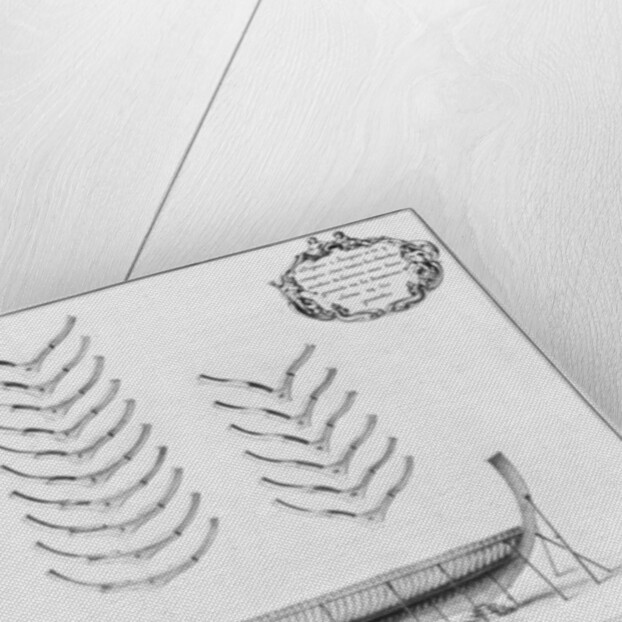 rofile of a vessel with all its floor plates by French School