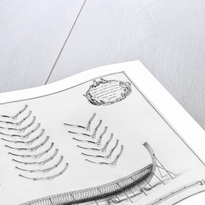rofile of a vessel with all its floor plates by French School