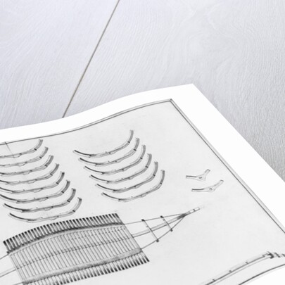 lan of a vessel with all its floor plates by French School