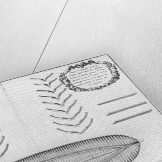 lan of a vessel with all its floor plates and forks by French School