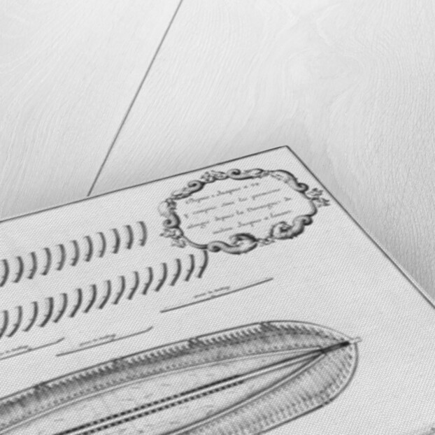 lan of a vessel partly lined from the inside by French School