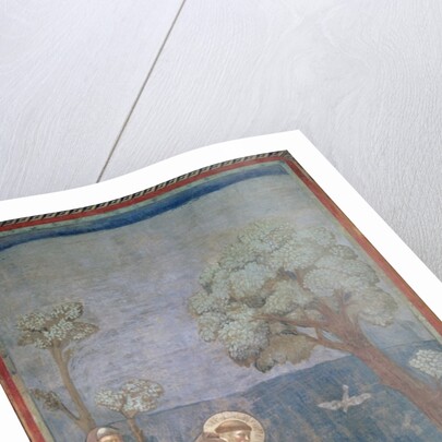 St. Francis preaching to the birds, 1297-99 by Giotto