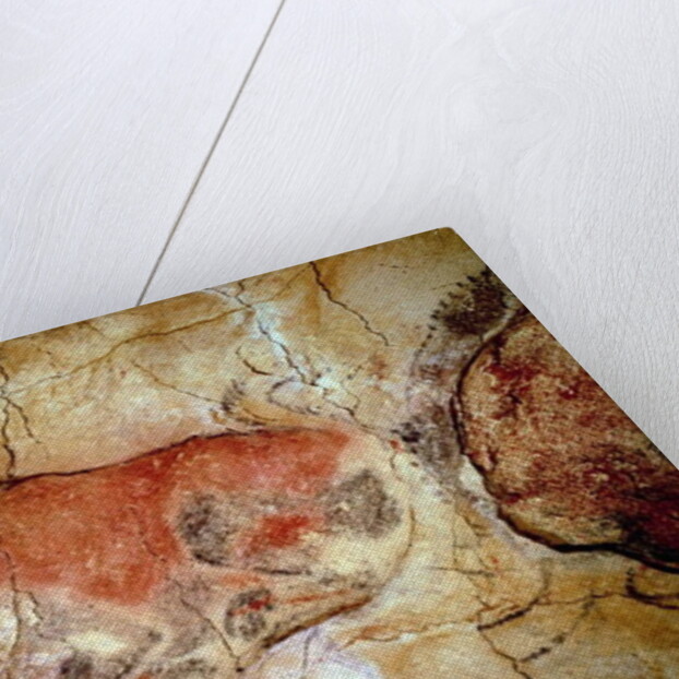 Bison from the Altamira Caves, Upper Paleolithic, c.15000-8000 BC by Prehistoric Prehistoric