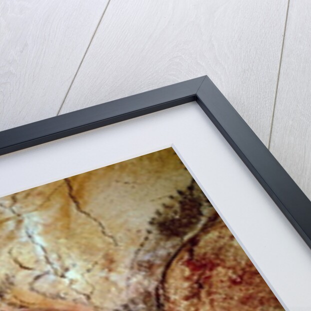 Bison from the Altamira Caves, Upper Paleolithic, c.15000-8000 BC by Prehistoric Prehistoric