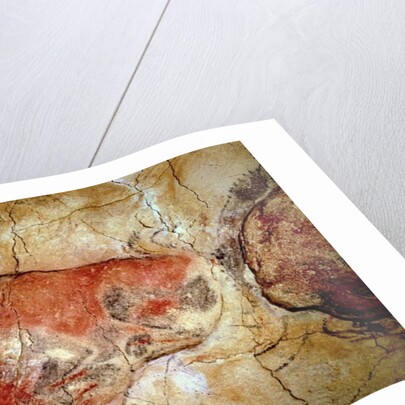 Bison from the Altamira Caves, Upper Paleolithic, c.15000-8000 BC by Prehistoric Prehistoric