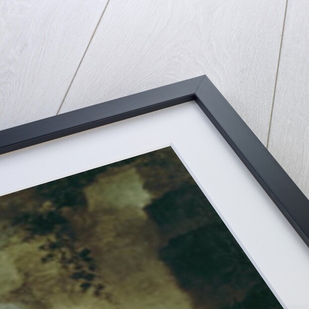 Boys Playing Dice, c.1670-75 by Bartolome Esteban Murillo
