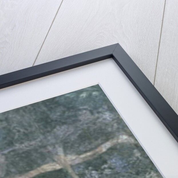 The Fish Pond, from the Stag Room, 1343 by French School