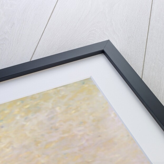 Steam Boats on the Loing at Saint-Mammes, 1877 by Alfred Sisley