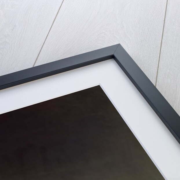 The Cat's Lunch by Marguerite Gerard