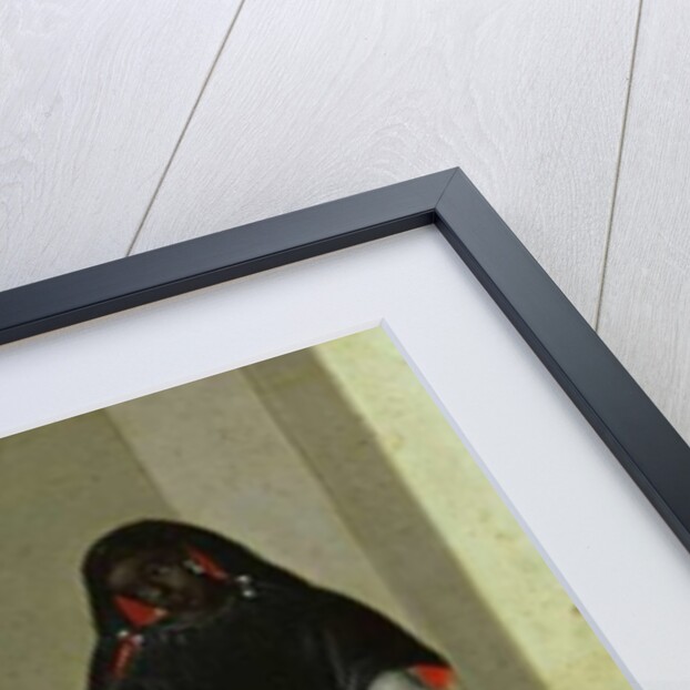 A Lobo Indian, his Half-Breed African Wife and their Child, from a series on mixed race marriages in Mexico by Mexican School