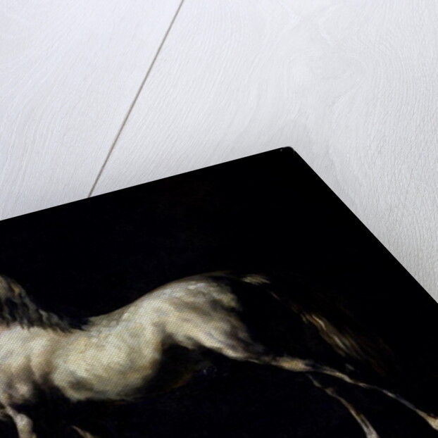 Study of a Dapple Grey by Theodore Gericault