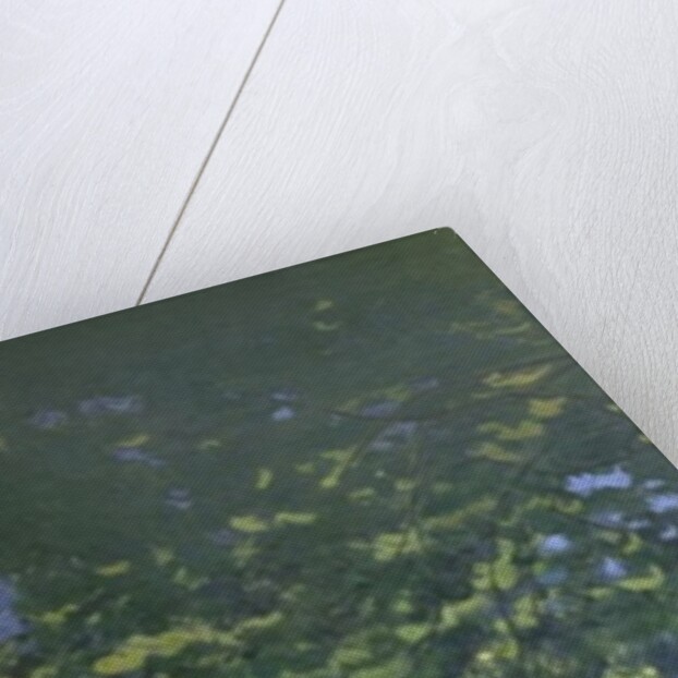 Dejeuner sur L'Herbe, Chailly, 1865 by Claude Monet