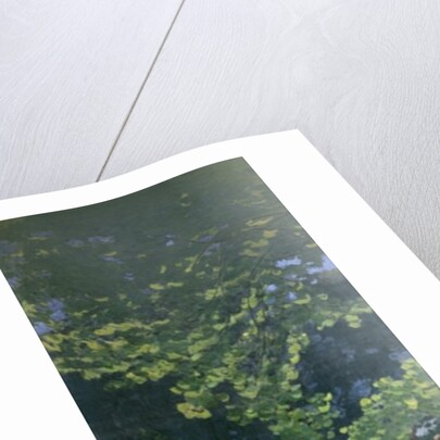 Dejeuner sur L'Herbe, Chailly, 1865 by Claude Monet