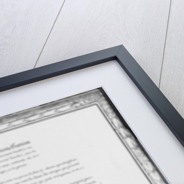 A galley entirely lined outside, eighth demonstration by French School