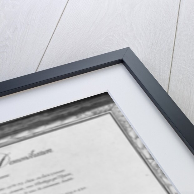 ails of a galley, twenty-eighth demonstratio by French School