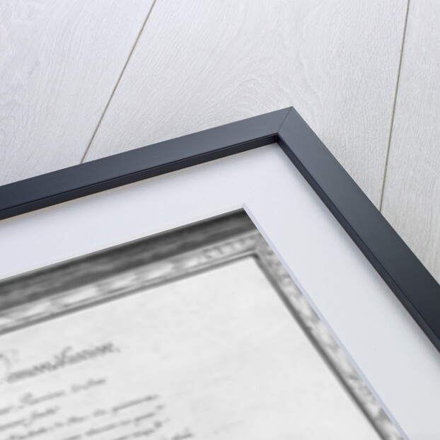 annons and anchors of a galley, thirtieth demonstratio by French School