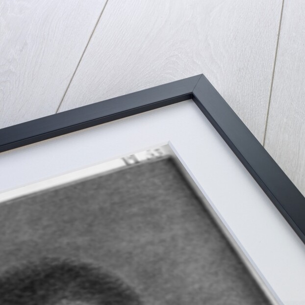 Woman of New Caledonia by French School