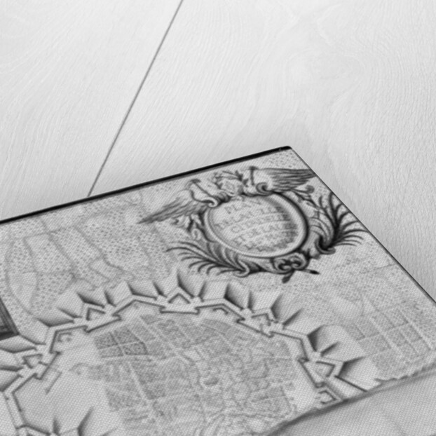 Plan of the town and the citadel of Saint-Martin-de-Re, Ile de Re by French School