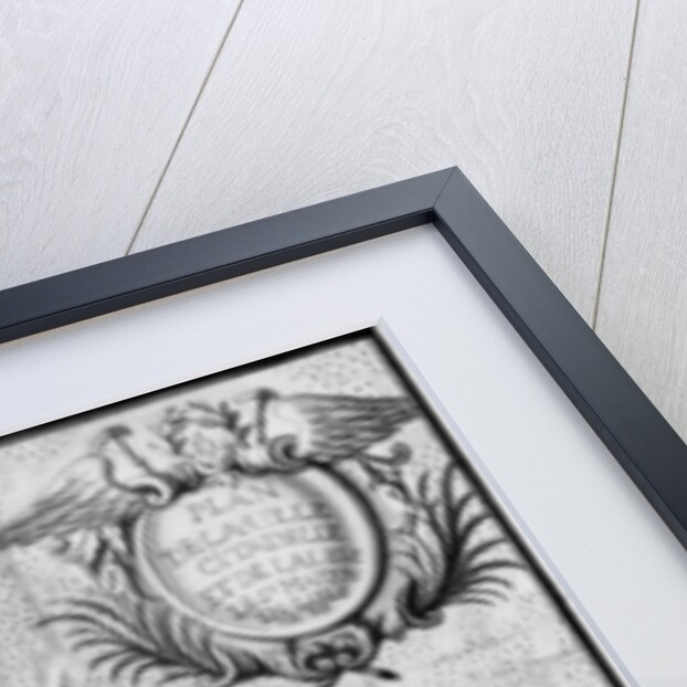 Plan of the town and the citadel of Saint-Martin-de-Re, Ile de Re by French School