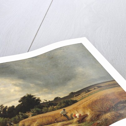 The Plateau of Ormesson - A Path through the Corn by Francois Louis Francais