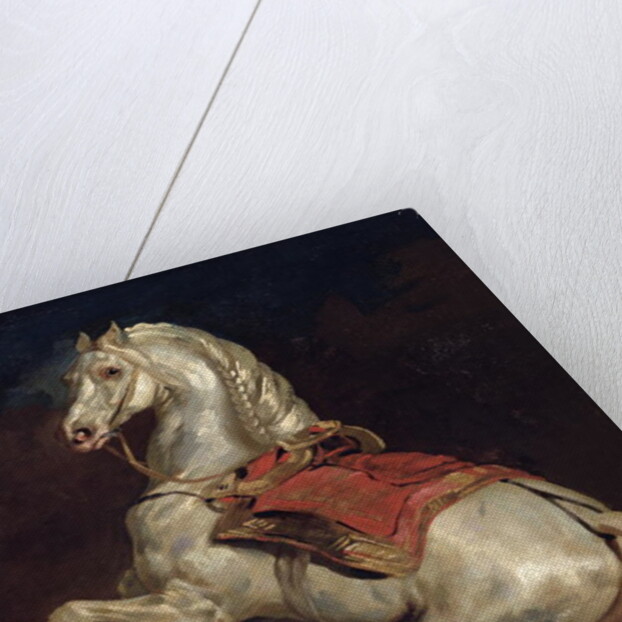 Napoleon's Stallion, Tamerlan by Theodore Gericault