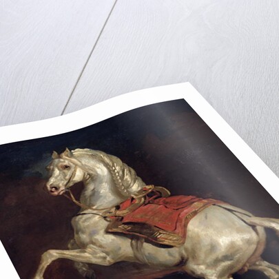 Napoleon's Stallion, Tamerlan by Theodore Gericault