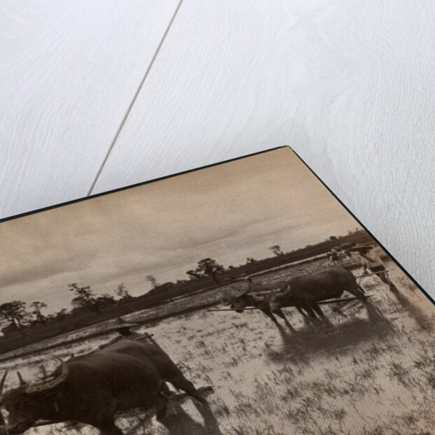 Farm work, c.1880 by Philip Adolphe Klier