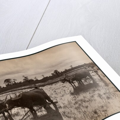 Farm work, c.1880 by Philip Adolphe Klier