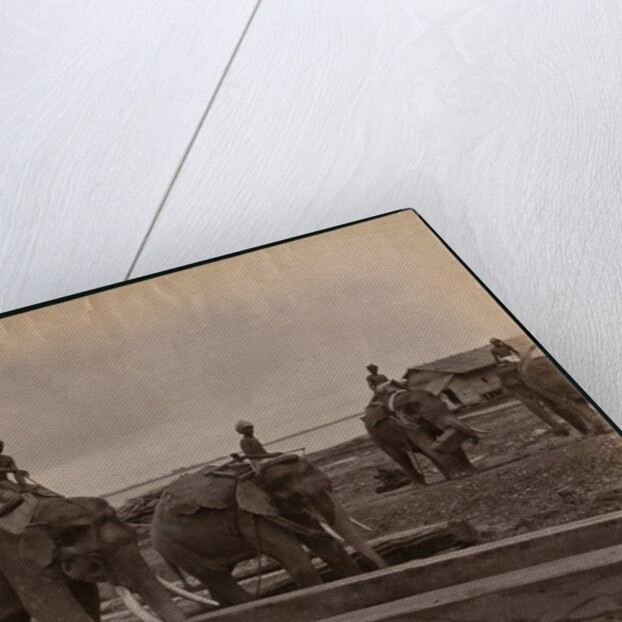 Working with elephants, c.1880 by Philip Adolphe Klier