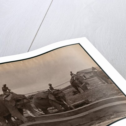 Working with elephants, c.1880 by Philip Adolphe Klier