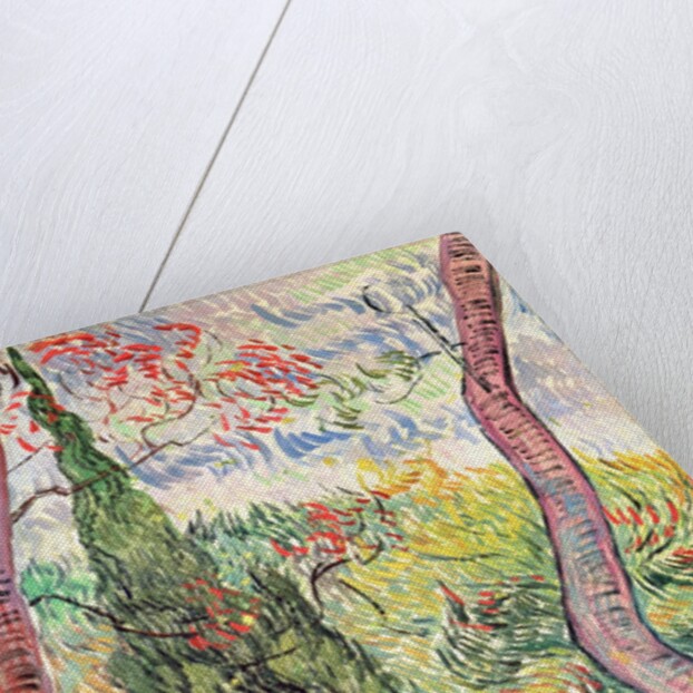 The Garden of St. Paul's Hospital, St. Remy, October 1889 by Vincent van Gogh