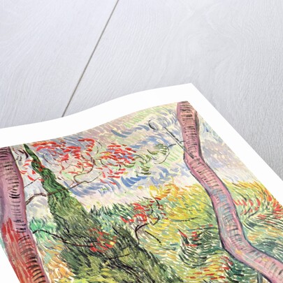 The Garden of St. Paul's Hospital, St. Remy, October 1889 by Vincent van Gogh