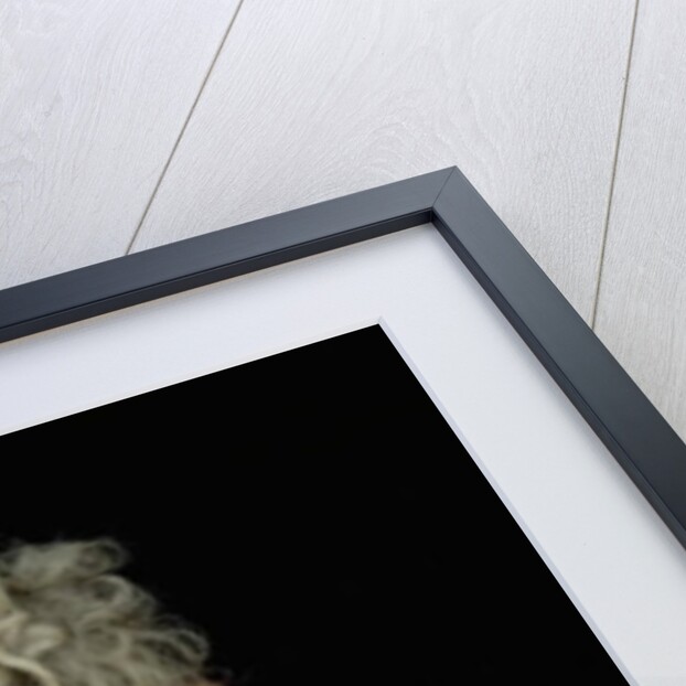 Louis XIV 1706 by or Benoit du Cercle Antoine Benoist