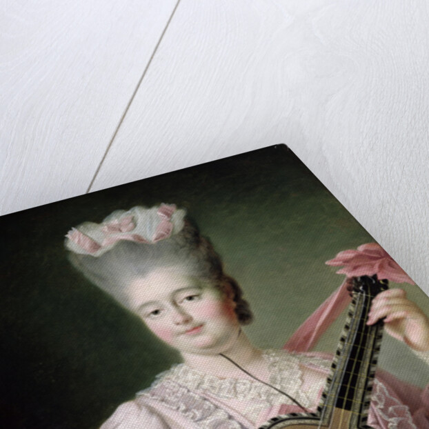 Portrait of Marie-Clothilde of France, also known as Madame Clothilde, queen of Sardinia, 1775 by Francois-Hubert Drouais