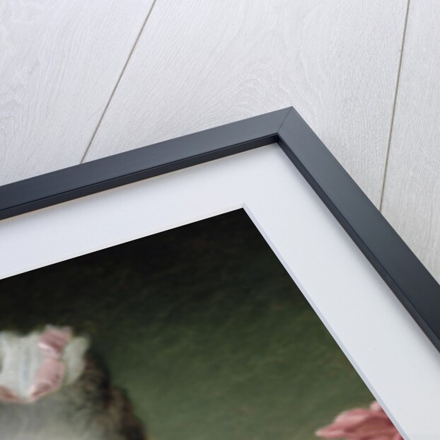 Portrait of Marie-Clothilde of France, also known as Madame Clothilde, queen of Sardinia, 1775 by Francois-Hubert Drouais