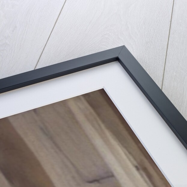 At Notre-Dame du Perpetuel Bon Secours Hospital, 1903 by Henri Jules Jean Geoffroy