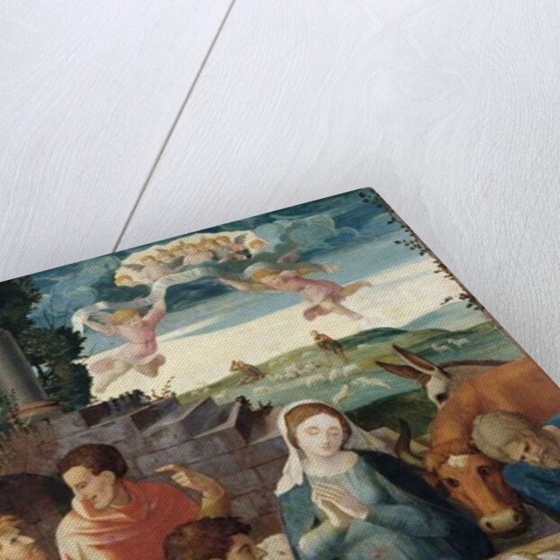 Adoration of the Shepherds, Champagne School, c.1520-30 by French School