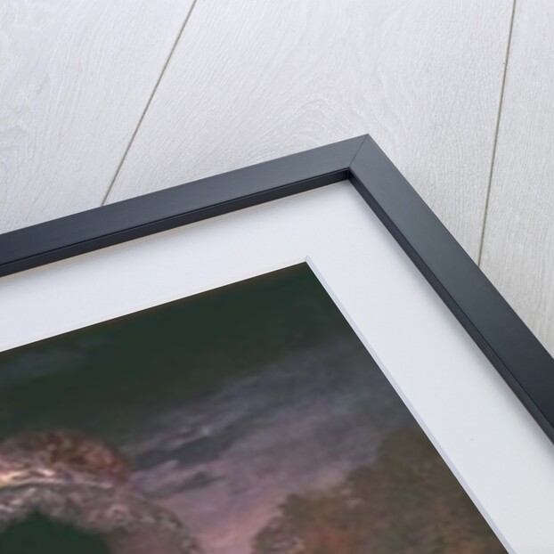 Portrait of Madame Gervex, 1899 by Henri Gervex