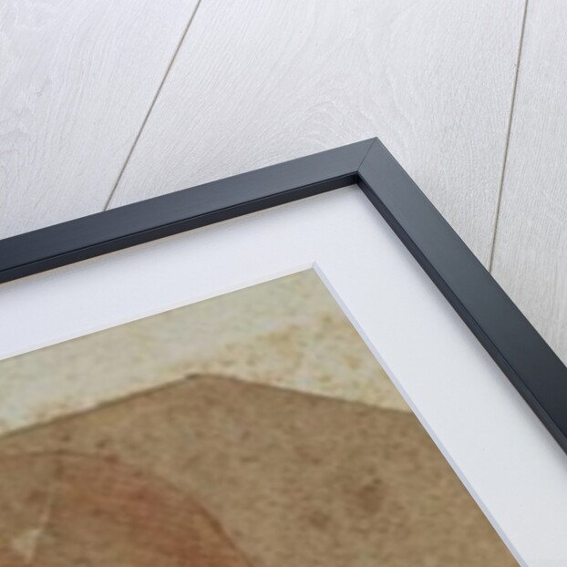 Head of a beardless old man, left profile by Leonardo da Vinci