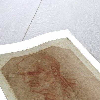 Head of a beardless old man, left profile by Leonardo da Vinci