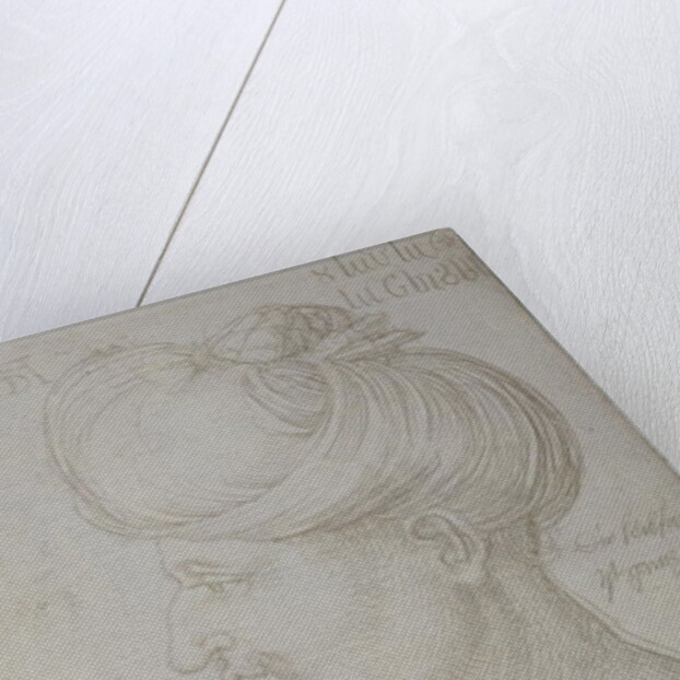 Head of Suleyman the Magnificent 1526 by Albrecht Dürer or Duerer