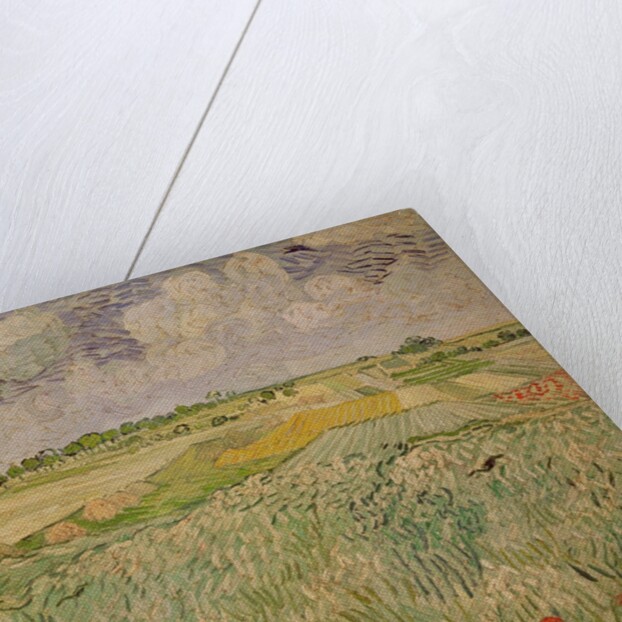 The Plain at Auvers, 1890 by Vincent van Gogh