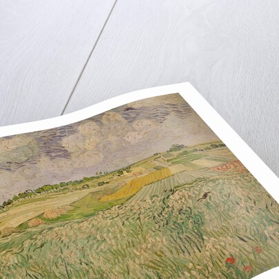 The Plain at Auvers, 1890 by Vincent van Gogh