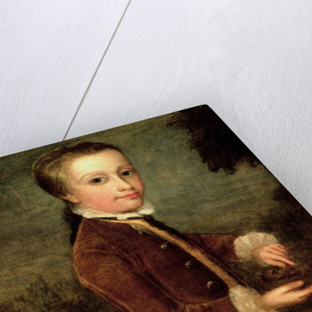 Portrait of Wolfgang Amadeus Mozart aged eight, holding a bird's nest, 1764-65 by Johann Zoffany